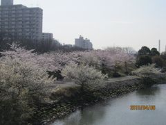 江戸川区・新左近川親水公園　2010-4　