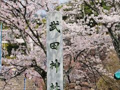 武田神社と護国神社　桜参り