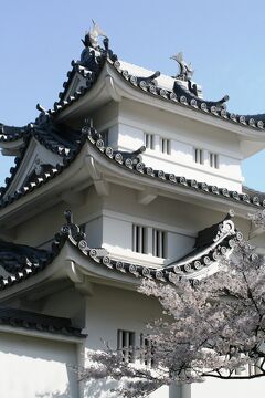 【名入れ無料】 2010春、桜満開の津城址(1/4)：お堀、錦鯉、染井吉野、入徳門 コレクション