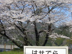 お花見その２：奈良県長谷寺で桜♪