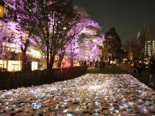 夜桜ライトアップ 六本木ミッドタウン 六本木 東京 の旅行記 ブログ By Gizumoさん フォートラベル