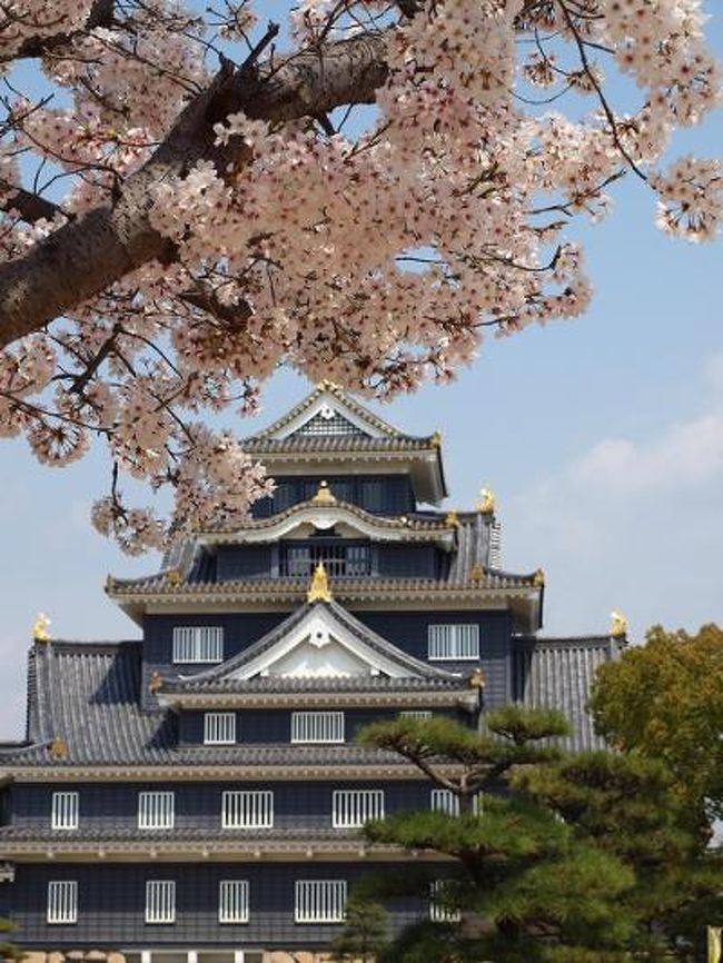 ふらりと岡山に桜を見に行ってきました。<br /><br />いつもは岡山には相方と車で行くのですが、今回は１人なので電車で行くことにします。<br />相方は<br />「新幹線で行けばいい」<br />と言ってくれたのですが、ふーが持っているのは時間だけ＾＾；；なので普通電車でのんびり向かうことにしました。<br /><br />電車、空いているだろう・・・<br /><br />と思ったものの姫路で相生行きに乗ると通勤電車並みの混雑ぶり。<br />相生で備中高梁行きに乗り換えます。<br />大きなリュックを振り回しながら席取り合戦を繰り広げる年配の方々の中には入れず、席を逃しずっと立ちっぱなしで着くまでにちょっと疲れてしまいました。