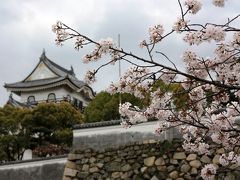 【大阪桜2010】 歴史とだんじりの町のシンボル 「岸和田城」