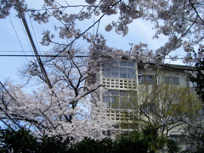 昭和三十年代に建てられた大阪府吹田市の千里山団地。この４月から立て替えが予定されています。団地の姿も見納めです。<br />団地の見学会がUR都市機構の許可を得てプロジェクトＤさんによって開催されたので、参加してきました。<br /><br />