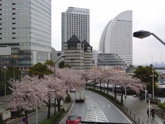 ☆桜木町のさくら・・04-07