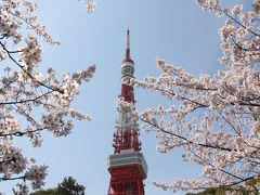 江戸のお花見２０１０