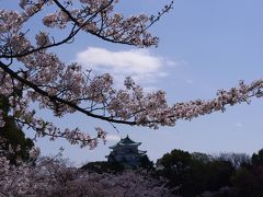 『８の日』エコきっぷ珍道中!!!桜の季節・Ｍちゃんも一緒にね♪