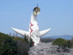 お花見その４：万博記念公園♪