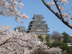 桜とともに・・カウントダウン姫路城