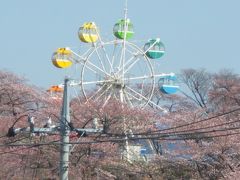 鹿沼市の桜２０１０．４．８