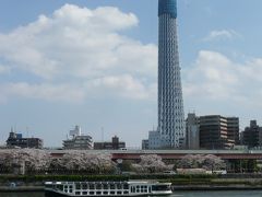 長命寺の桜もちを買いに　桜とスカイツリー