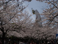 万博公園に遊ぶ