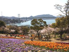 ★火の山トルコチューリプ園（下関）を徘徊