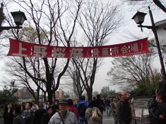 上野桜祭