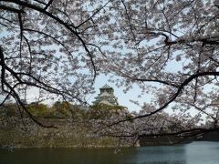 桜之宮公園～大阪城公園お花見散歩