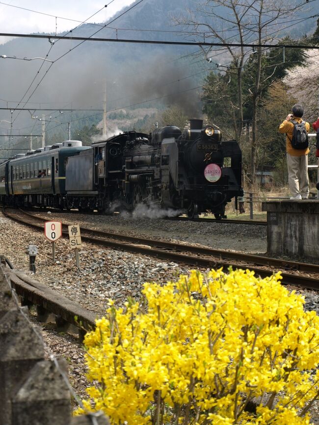 ＳＬがはしるというので、ちょっと寄り道。でもかえりは秩父鉄道と、東武東上線は待ち合わせも多く時間がかかりました。２０２２年再訪<br />