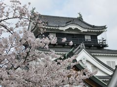 '10 愛知の桜名所【４】岡崎公園