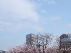 2010 桜?（川崎）