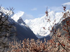世界の高峰と杏の花が咲きほこるフンザ旅行記（パキスタン）