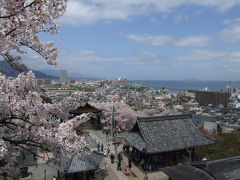 大津二大古刹の桜風景♪（石山寺・三井寺）