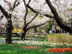 Cherry Garden Museum 2010