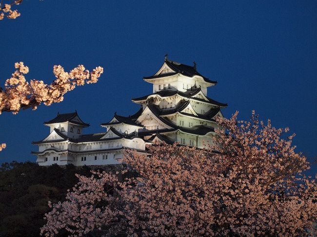 姫路城は去年にお花見に行ったので今年はいいかなぁ～と思っていたのですが、<br />当分見れなくなる<br />と思うと行ってみたくなるものでして。<br /><br />昼間はすごい混雑と聞いていたので、夜桜を見に行くことにしました。<br />１１日で終了しましたが、夜間西の丸庭園が無料開放され桜がライトアップされます。<br /><br />守っている人は少ないのですが、こちらは三脚使用禁止になっています。<br />普段している筋トレの成果を発揮すべく、手振れと戦いながら写真を撮ってきました。<br />多少のブレは許してね＾＾；；<br />