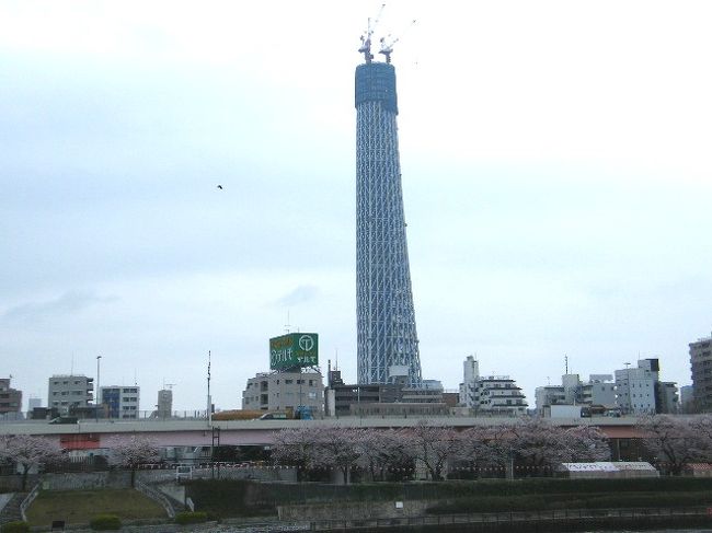 桜が開花してから東京の天気はパッとしない日が続き、花冷えのする日が多いです。<br />休日には何かと予定があって花見に行けませんでしたが、平日の午後でしたが、会社は午前で切り上げて有給休暇を取得して「隅田公園」まで出かけてきました。<br /><br />隅田公園は浅草駅が最寄り駅です。隅田川の両岸に台東区と墨田区に跨っています。<br />ここからは現在建設中の「東京スカイツリー」までも近く、桜見物と「東京スカイツリー」を間近で見たかったので、併せて見てきました。<br /><br />東京スカイツリーは、墨田区に所在する東武伊勢崎線・東京地下鉄半蔵門線・京成押上線・都営地下鉄浅草線の押上駅と東武伊勢崎線の業平橋駅の間に挟まれる、東武鉄道の本社隣接地で所有地でもある貨物駅（のちの業平橋駅3、4、5番線ホーム）跡地に建設される。<br /><br />東京タワーの完成時は幼少時で記憶にないので、東京スカイツリーの完成には注目したいと思っています。