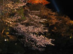 桜の古都　京都（★世界文化遺産：清水寺）