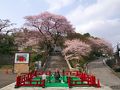 慈光寺、祥雲寺の桜 2010。(一応晴れ版)