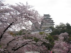 お城と桜