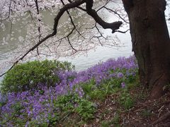 2010.4.4、お花見♪　靖国神社、千鳥ヶ淵