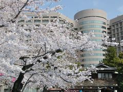 '10愛知の桜名所【５】鶴舞公園