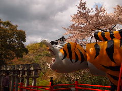 桜満開　寅で有名な信貴山朝護孫子寺へ行こう