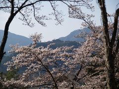 天空の城・竹田城の春