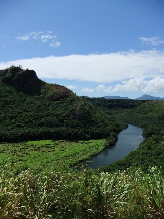 四日目。<br /><br />今日は、カウアイ島の一日観光です。<br /><br />シダの洞窟と、フラで習った曲の<br />ハナレイ湾があるこの島に<br />一度行ってみたかったのです。