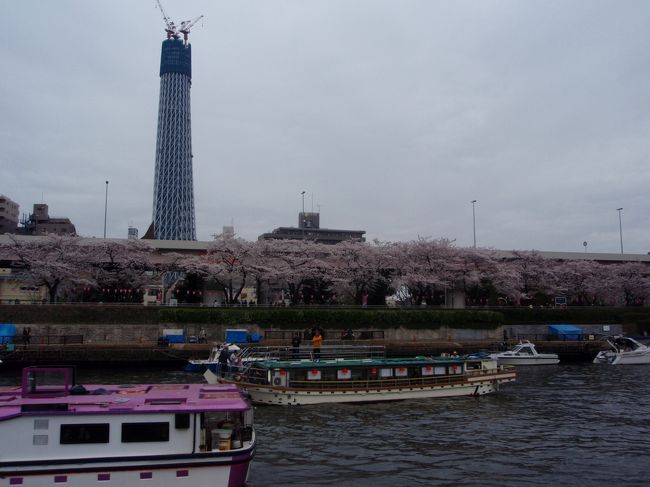 １か月以上前に友達が予約してくれた、お花見、屋形船。<br /><br />桜の満開に、大当たり！<br /><br />東京湾から隅田川に入って行ったころは、ちらほら遠くに桜がある程度・・<br />こんなもんか〜<br />「千鳥ヶ淵で素晴らしい桜見てきて良かったよ」<br />なんて思ったのですが・・<br /><br />