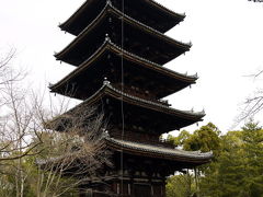 １１．春休みの京都の世界遺産を巡る旅　４／１７　世界遺産 仁和寺（にんなじ）その２　叡山電鉄　八瀬グルメ村