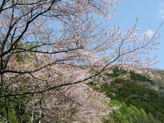 MTBでウロウロ…=山梨・南部町へ①=