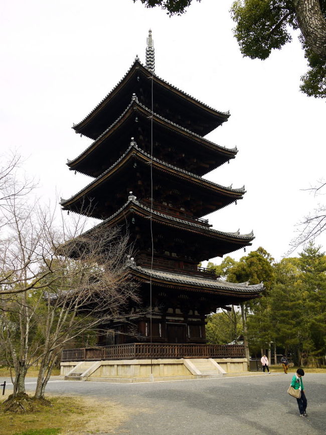 世界遺産 仁和寺の書院造りの建物や美しいお庭を堪能した後は、国宝 金堂や五重塔などを見に行きました。<br /><br />一時間ほど世界遺産 総本山 仁和寺を見学して、タクシー電車と乗り継いでエクシブ京都八瀬離宮に向かいます。<br />