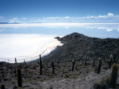 心震えるSalar de UYUNI（ウユニ塩湖）ツアー Part.3＜魚の島で見た水平線が空に溶け込んだ世界＞
