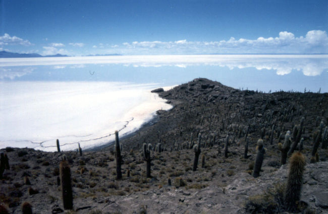 ウユニ塩湖のど真ん中に「Isla de Paz（魚の島）」と呼ばれる島があった。<br />その周辺では既に雨季の雨水が湖面を薄く覆っていた。<br /><br />風一つない湖面に、標高4000ｍのきつめの青と純白の雲が鏡の様に映し出されている。<br /><br />まるで、空の上にいるような・・・