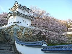 播州の小京都・龍野の3000本桜！（龍野城）