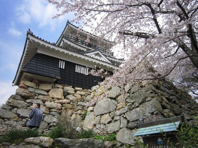祖母の法事で日本に帰ったとき、浜松城公園の桜を見に行きました。<br /><br />数年前になくなった祖母は、一番最後に会ったとき、「次回はみんなでお花見しよう」と言っていました。そしてその年、桜満開の日になくなった祖母。今でも桜を見るたびに祖母を思い出します。<br /><br />ちょうど家の桜も満開とはいきませんでしたが綺麗に咲いていたので、その写真も何枚か撮りました〜<br /><br />★今回の帰国で思ったこと★<br /><br />１、最近のお花見はBBQもありなのだ。以前は既にできたものを持ちよることが多かったように思うけど。<br /><br />２、ついでにDJ並に、音楽かけるのもありなのだ。レコードを回してる人がいましたよ。<br /><br />３、肯定的な意味で「〜すぎる」と使うのが流行ってるらしい。<br /><br />４、なぜか雑誌の付録がほとんどバッグだ。お得なのかお得じゃないのか？一冊位買ってくれば良かった。<br /><br />５、自動販売機が面白い！缶入りのおでん、ラーメン、カレーうどんが売ってた。