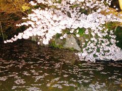 京都-09　清水寺*音羽の滝を廻って参道へ　☆桜の園ライトアップ！