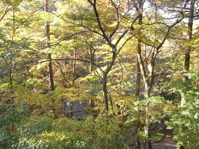 東京にいるのも残り半年となった2009年の10月に、大阪からは行きにくい観光地の軽井沢に行きました。<br /><br />旧軽井沢を見物して、夜は出向先の保養所で宴会したということなので、あまり写真の枚数は多くありませんが、ご参考になれば。