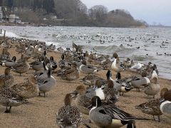 猪苗代湖と日本秘湯を守る会～大塩裏磐梯温泉 米澤屋～ へ。