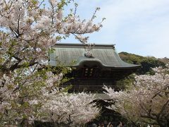 2010 春の横浜・鎌倉の旅（鎌倉編）