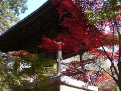 紅葉見物　平林寺