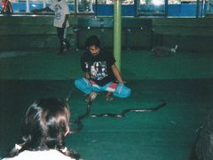 バンコクの思い出　