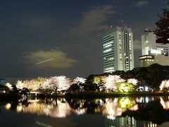 浜離宮で夜桜見物